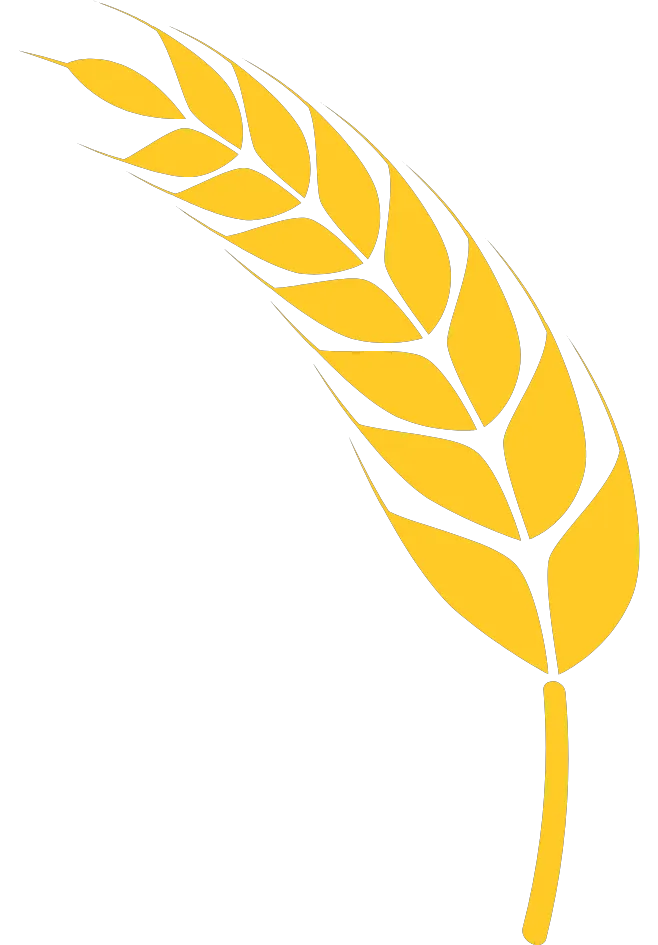 Kumpulan Logo Padi Emas Terbagus dan Paling Menarik 12 Logo Padi Emas