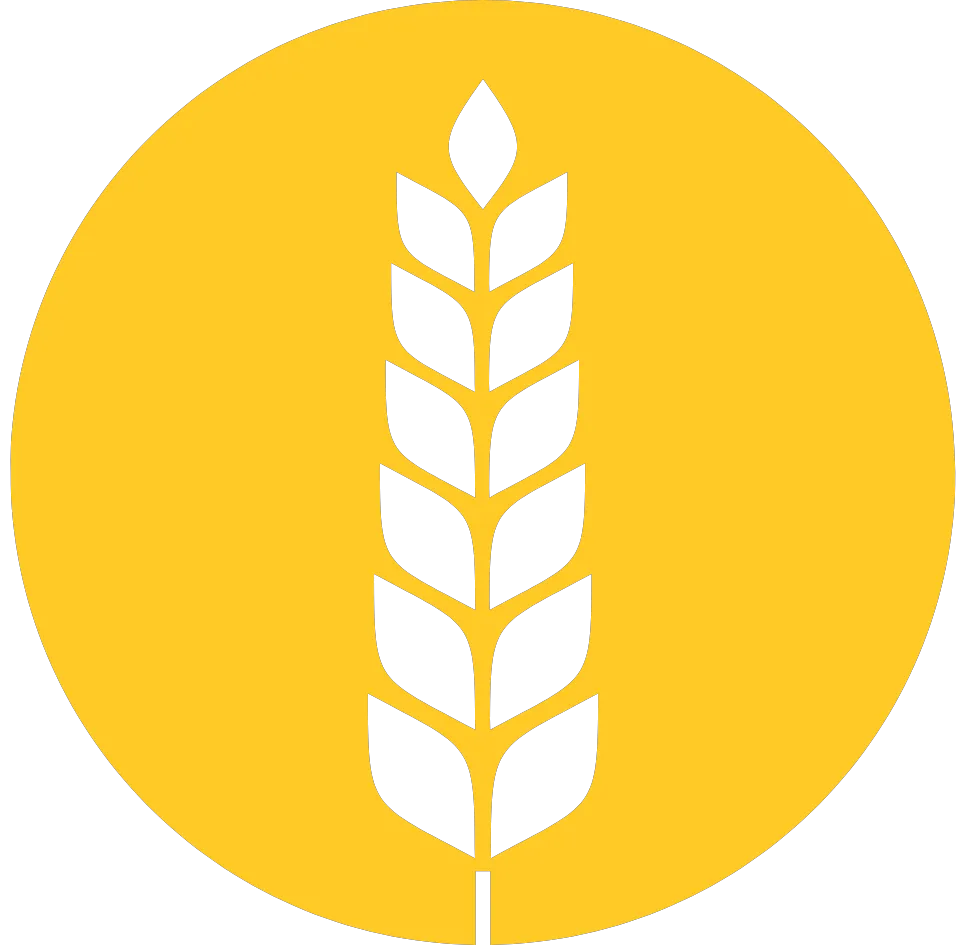 Kumpulan Logo Padi Emas Terbagus dan Paling Menarik 13 Logo Padi Emas