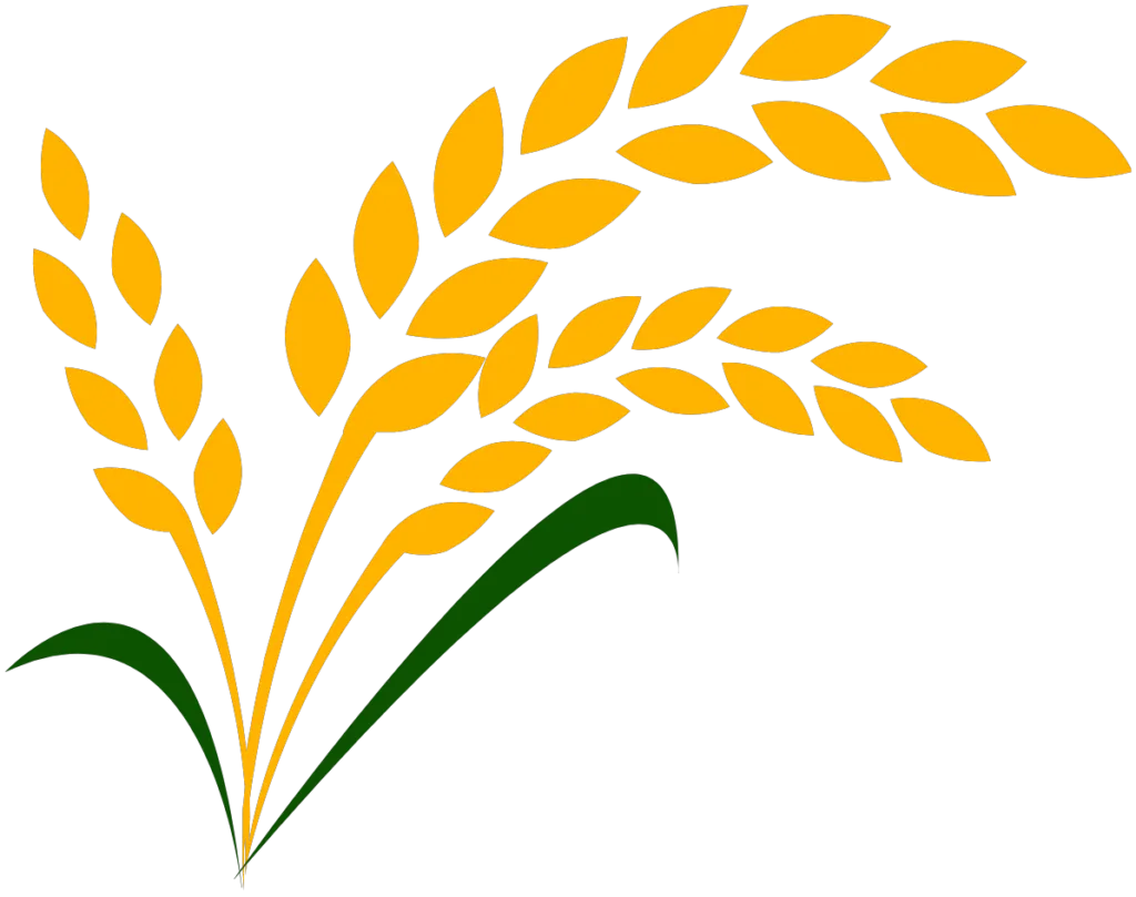 Kumpulan Logo Padi Emas Terbagus dan Paling Menarik 16 Logo Padi Emas