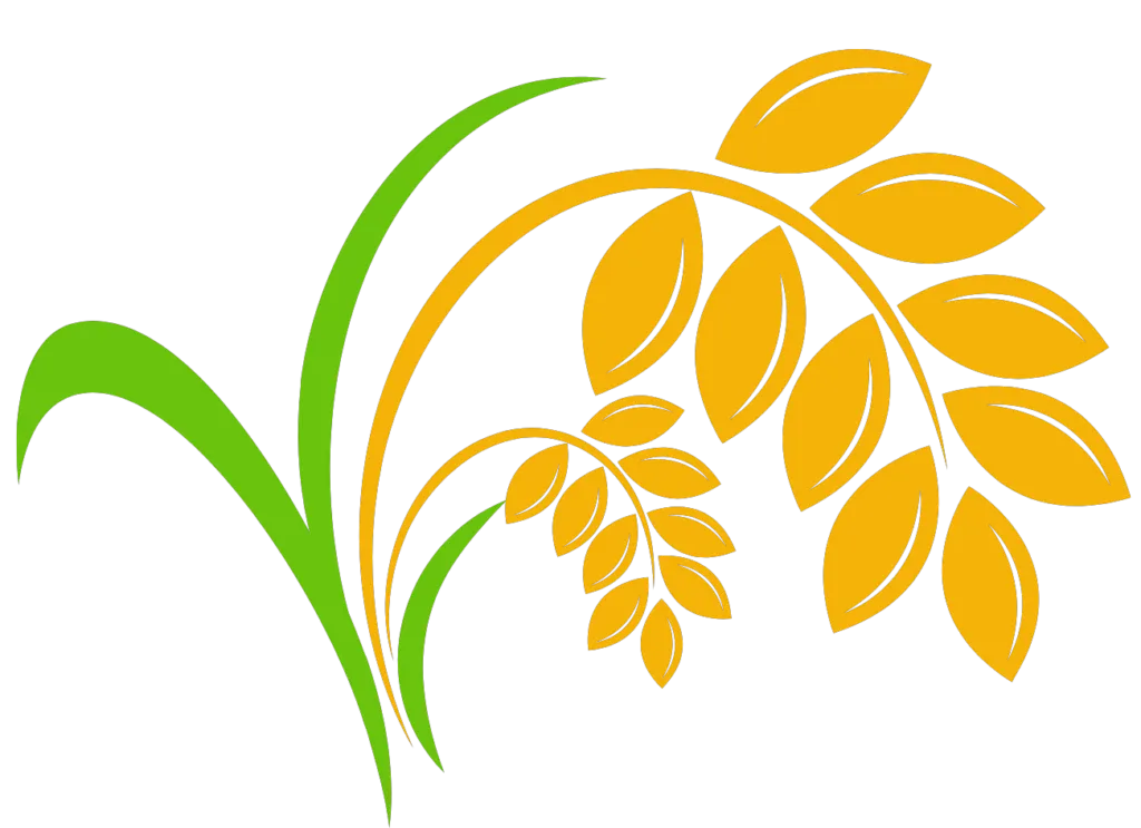 Kumpulan Logo Padi Emas Terbagus dan Paling Menarik 17 Logo Padi Emas