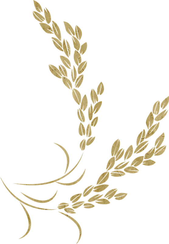 Kumpulan Logo Padi Emas Terbagus dan Paling Menarik 3 Logo Padi Emas