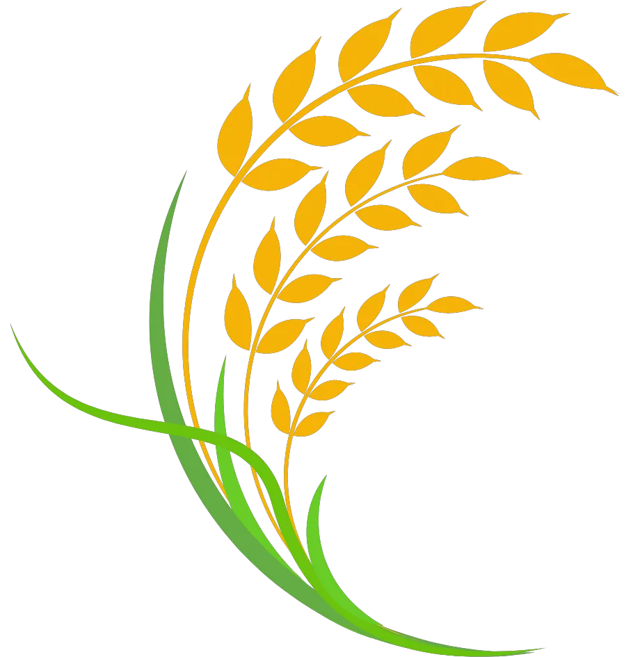 Kumpulan Logo Padi Emas Terbagus dan Paling Menarik 9 Logo Padi Emas