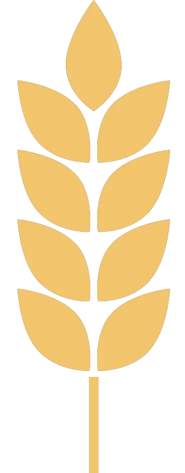 Kumpulan Logo Padi Emas Terbagus dan Paling Menarik 11 Logo Padi Emas