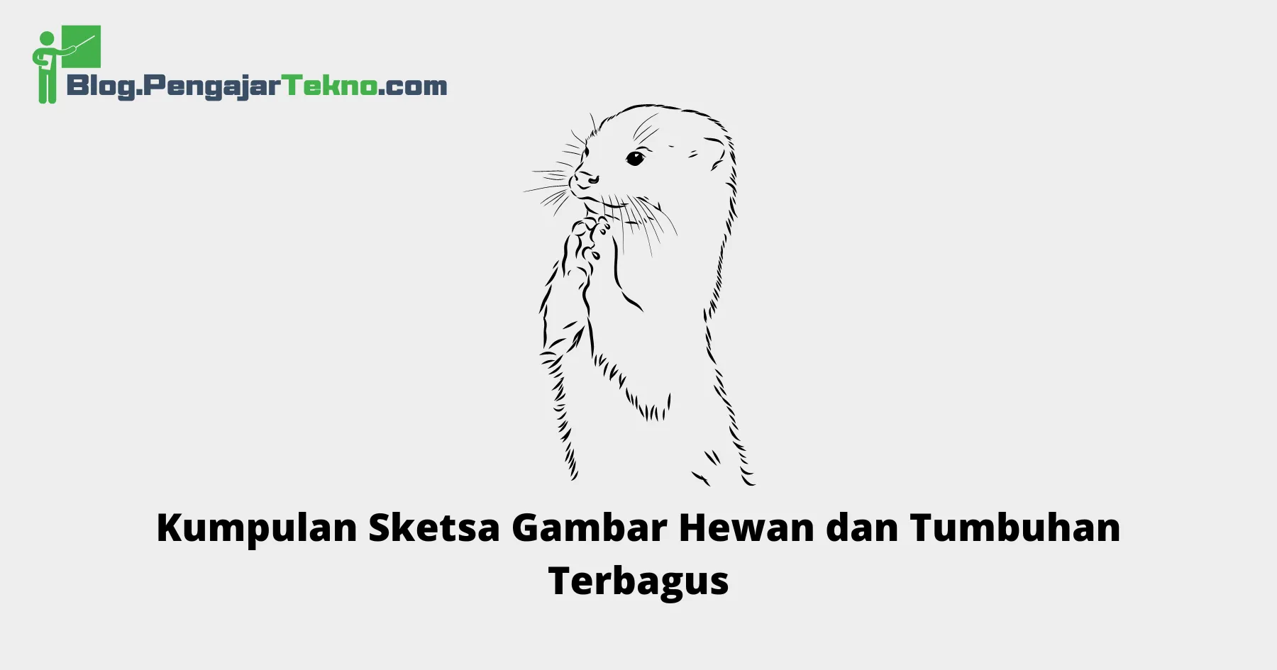 Sketsa Gambar Hewan dan Tumbuhan