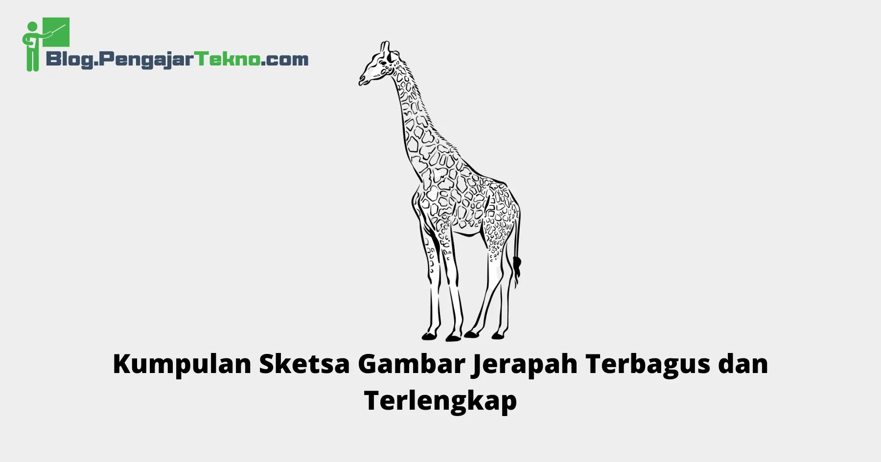 Sketsa Gambar Jerapah