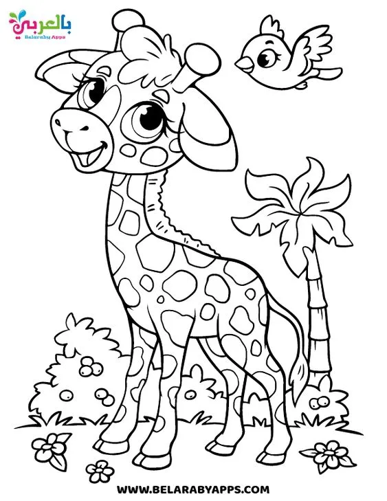 Kumpulan Sketsa Gambar Jerapah Terbagus dan Terlengkap 18 Sketsa Gambar Jerapah