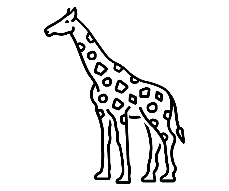 Kumpulan Sketsa Gambar Jerapah Terbagus dan Terlengkap 5 Sketsa Gambar Jerapah