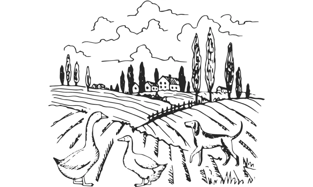 Kumpulan Sketsa Gambar Pemandangan Terbagus Lengkap 13 Sketsa Gambar Pemandangan