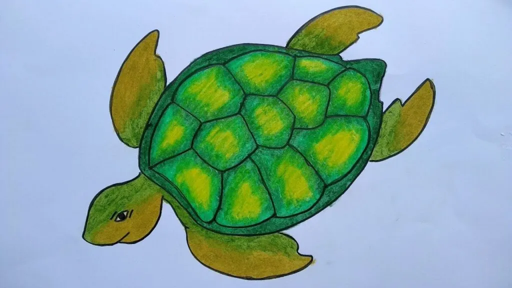 Gambar Hewan Yang Mudah Digambar dan Berwarna