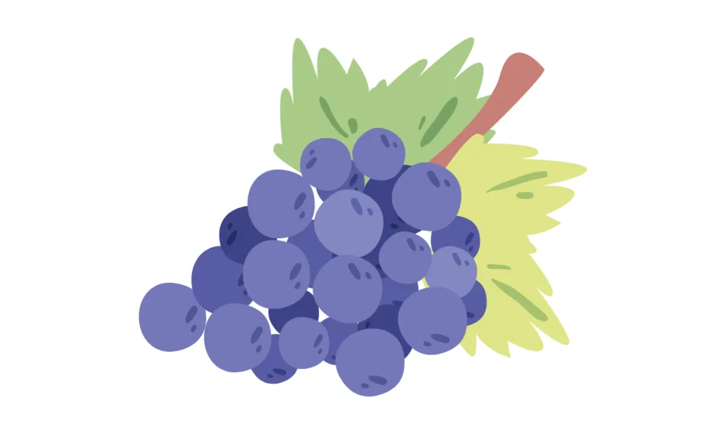 Kumpulan Gambar Buah-Buahan Kartun Terbagus dan Terlengkap 8 Gambar Buah-Buahan Kartun