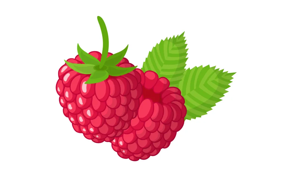 Kumpulan Gambar Buah-Buahan Kartun Terbagus dan Terlengkap 25 Gambar Buah-Buahan Kartun