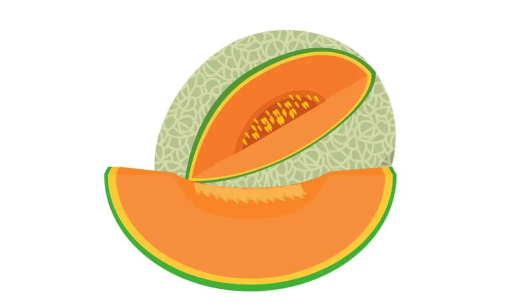 Kumpulan Gambar Buah-Buahan Kartun Terbagus dan Terlengkap 24 Gambar Buah-Buahan Kartun