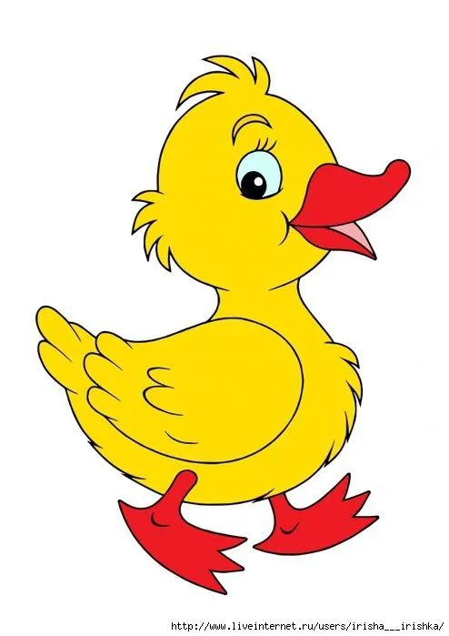 Kumpulan Gambar Bebek Kartun Terbagus dan Terlengkap 24 Gambar Bebek Kartun