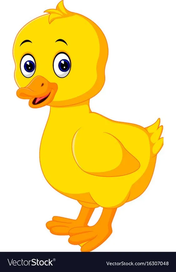 Kumpulan Gambar Bebek Kartun Terbagus dan Terlengkap 18 Gambar Bebek Kartun