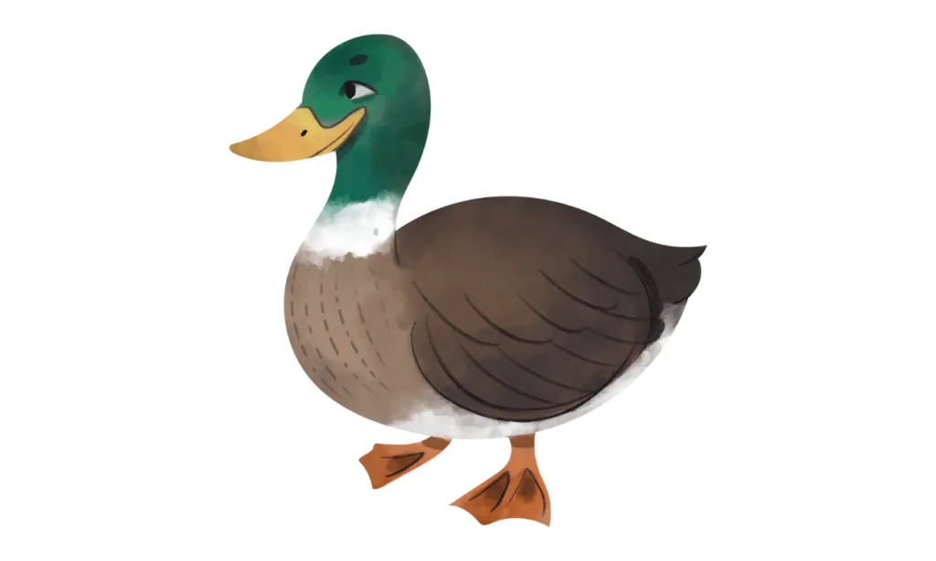 Kumpulan Gambar Bebek Kartun Terbagus dan Terlengkap 14 Gambar Bebek Kartun