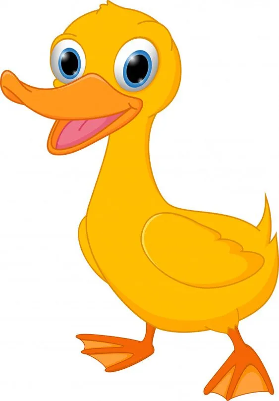 Kumpulan Gambar Bebek Kartun Terbagus dan Terlengkap 26 Gambar Bebek Kartun