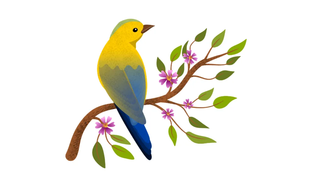 Gambar Burung Kartun