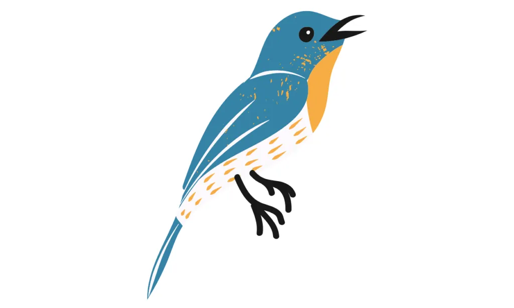 Gambar Burung Kartun