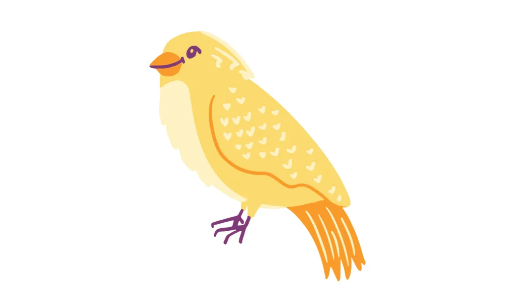 Gambar Burung Kartun