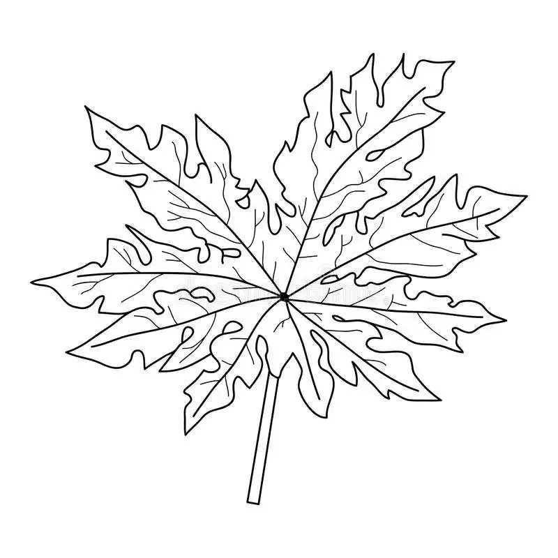 Gambar Daun Yang Mudah