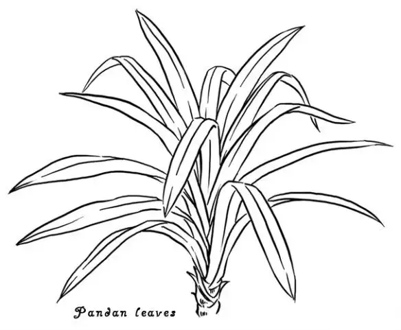 Gambar Daun Yang Mudah