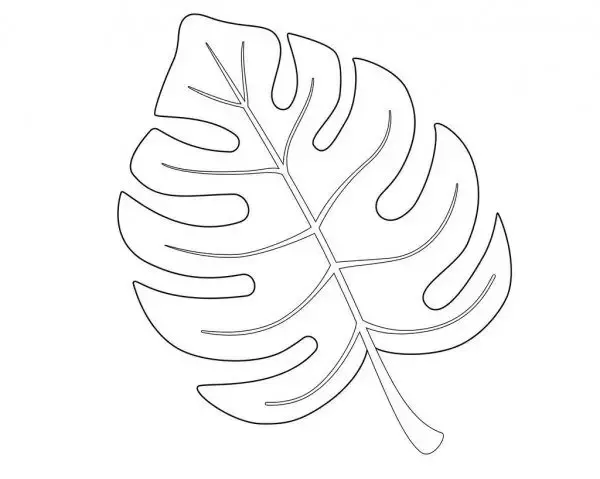 Gambar Daun Yang Mudah