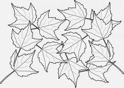 Gambar Daun Yang Mudah