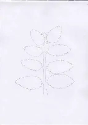 Gambar Daun Yang Mudah