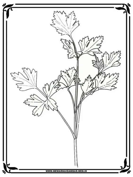 Gambar Daun Yang Mudah