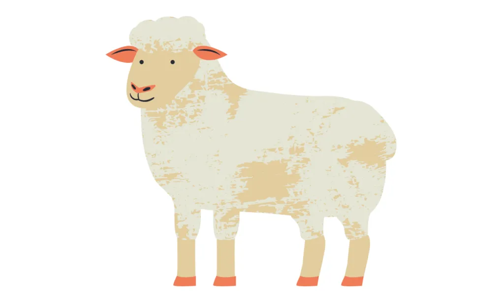 Gambar Domba Kartun
