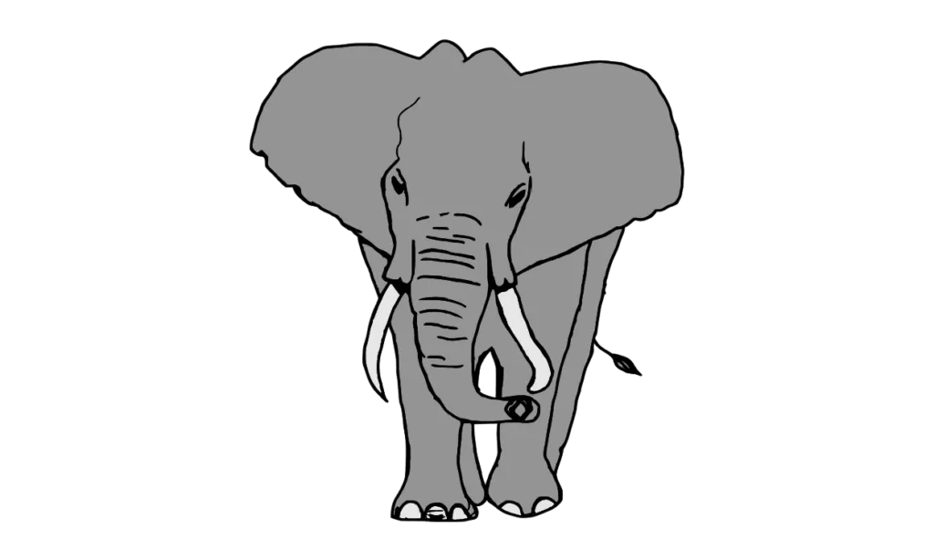 Kumpulan Gambar Gajah Kartun Terbagus dan Terlengkap 4 Gambar Gajah Kartun