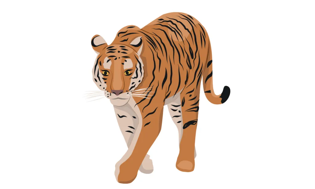 Gambar Harimau Kartun