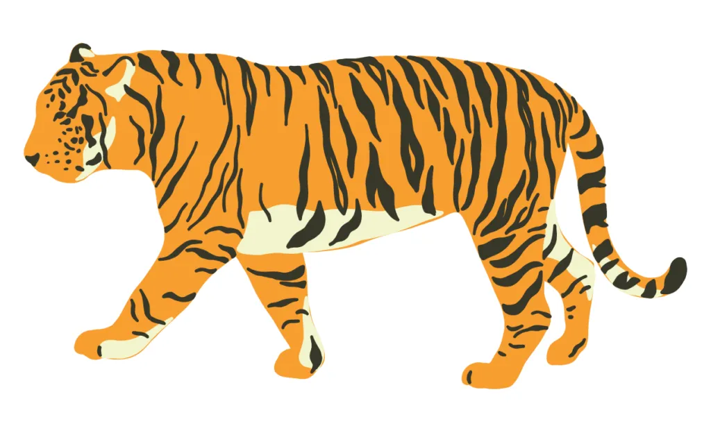 Gambar Harimau Kartun