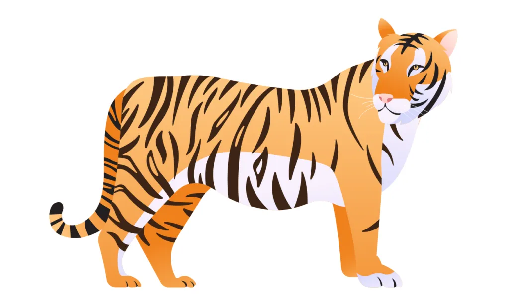 Gambar Harimau Kartun