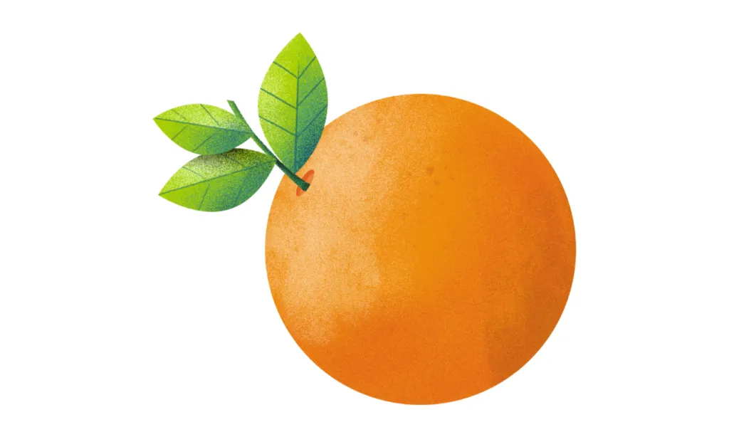 Kumpulan Gambar Jeruk Kartun Terbagus dan Terlengkap 14 Gambar Jeruk Kartun