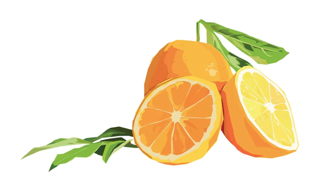 Kumpulan Gambar Jeruk Kartun Terbagus dan Terlengkap 4 Gambar Jeruk Kartun