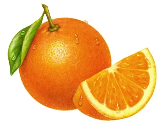 Kumpulan Gambar Jeruk Kartun Terbagus dan Terlengkap 23 Gambar Jeruk Kartun