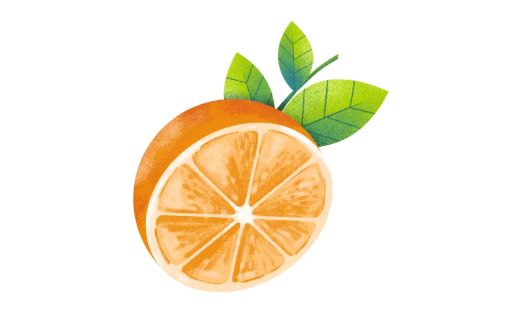 Kumpulan Gambar Jeruk Kartun Terbagus dan Terlengkap 11 Gambar Jeruk Kartun