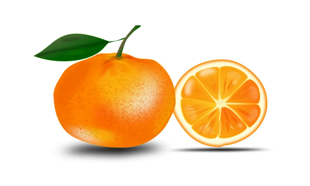 Kumpulan Gambar Jeruk Kartun Terbagus dan Terlengkap 7 Gambar Jeruk Kartun