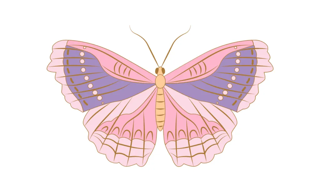 Gambar Kupu-Kupu Kartun