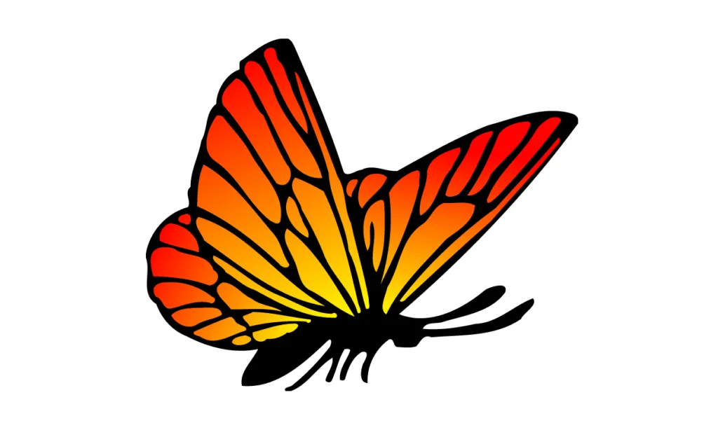 Gambar Kupu-Kupu Kartun