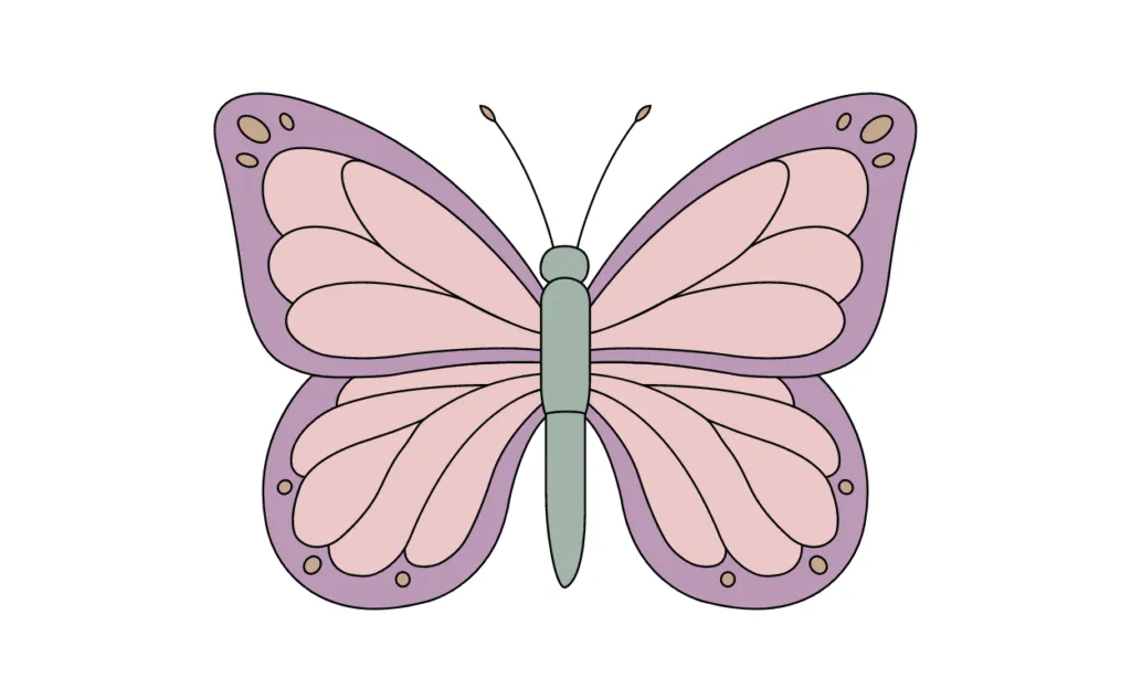 Gambar Kupu-Kupu Kartun