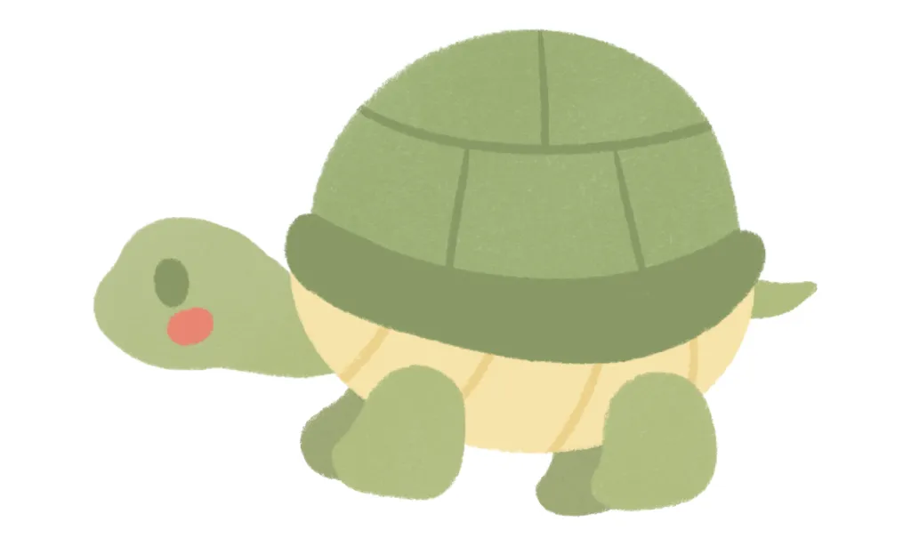 Kumpulan Gambar Kura-Kura Kartun Terbagus dan Terlengkap 5 Gambar Kura-Kura Kartun