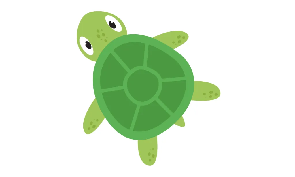 Kumpulan Gambar Kura-Kura Kartun Terbagus dan Terlengkap 13 Gambar Kura-Kura Kartun