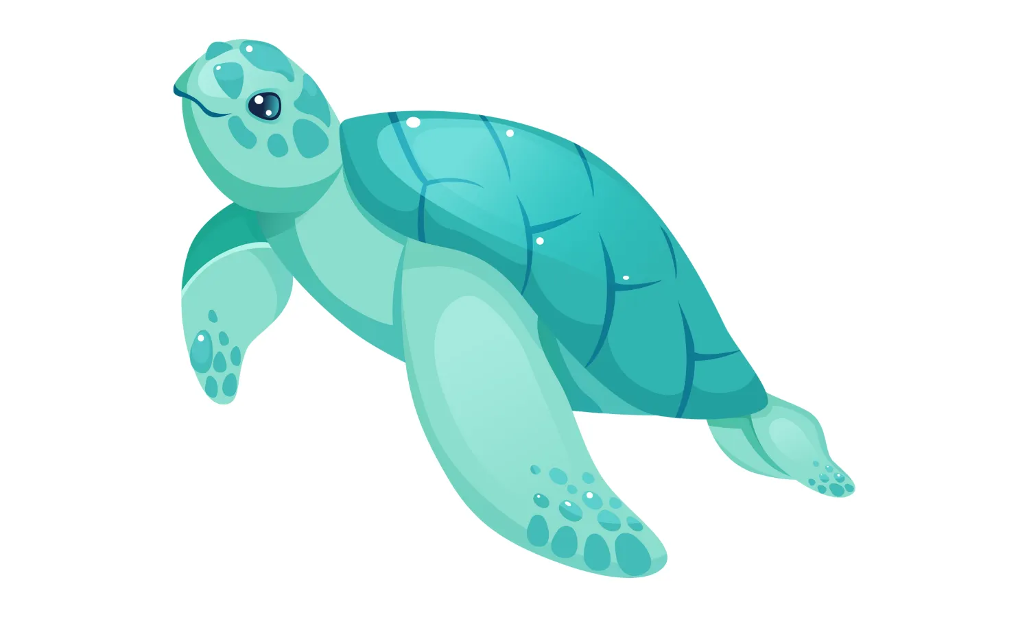 Kumpulan Gambar Kura-Kura Kartun Terbagus dan Terlengkap 12 Gambar Kura-Kura Kartun