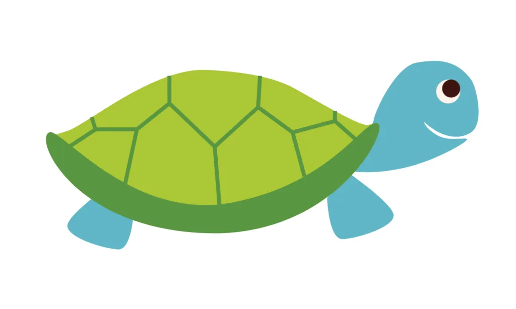 Kumpulan Gambar Kura-Kura Kartun Terbagus dan Terlengkap 11 Gambar Kura-Kura Kartun