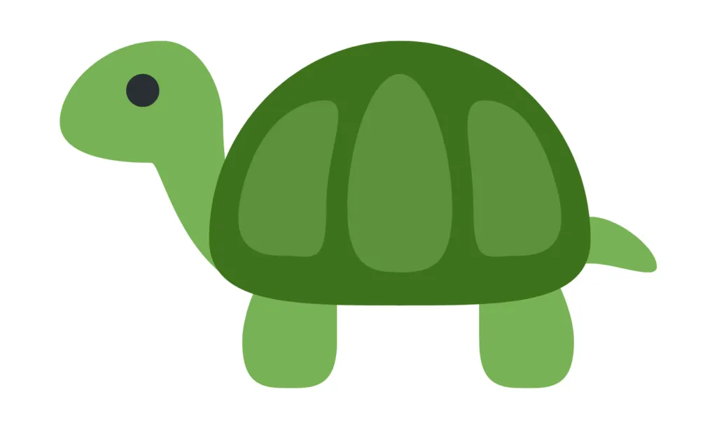 Kumpulan Gambar Kura-Kura Kartun Terbagus dan Terlengkap 9 Gambar Kura-Kura Kartun