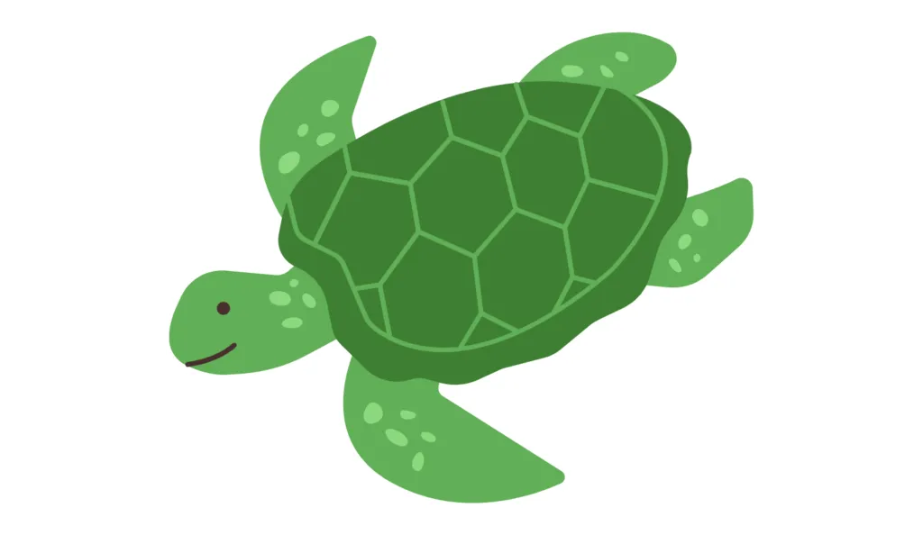 Kumpulan Gambar Kura-Kura Kartun Terbagus dan Terlengkap 8 Gambar Kura-Kura Kartun