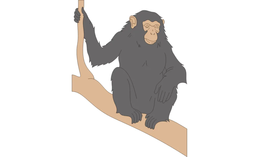 Gambar Monyet Kartun