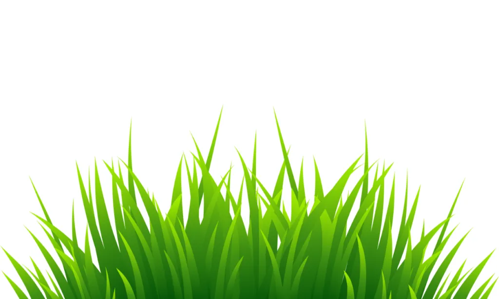 Gambar Rumput Kartun